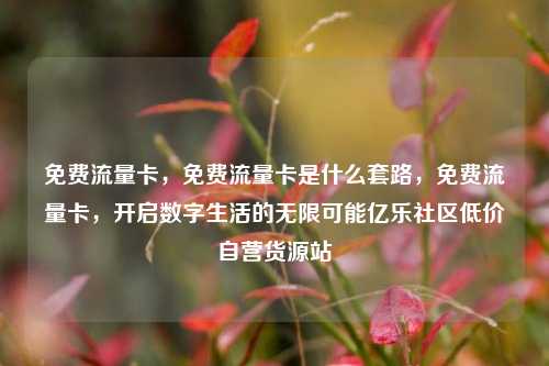 免费流量卡，免费流量卡是什么套路，免费流量卡	，开启数字生活的无限可能亿乐社区低价自营货源站  第1张