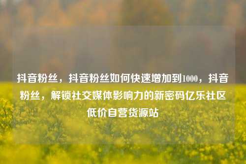 抖音粉丝，抖音粉丝如何快速增加到1000，抖音粉丝	，解锁社交媒体影响力的新密码亿乐社区低价自营货源站  第1张