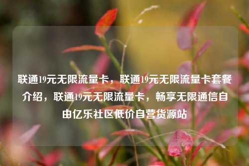 联通19元无限流量卡，联通19元无限流量卡套餐介绍	，联通19元无限流量卡，畅享无限通信自由亿乐社区低价自营货源站  第1张