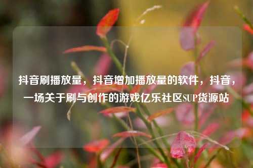 抖音刷播放量	，抖音增加播放量的软件，抖音，一场关于刷与创作的游戏亿乐社区SUP货源站  第1张