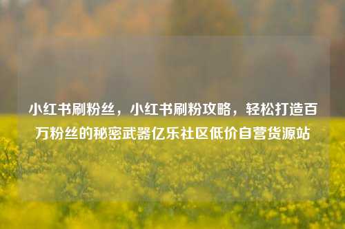 小红书刷粉丝	，小红书刷粉攻略，轻松打造百万粉丝的秘密武器亿乐社区低价自营货源站  第1张
