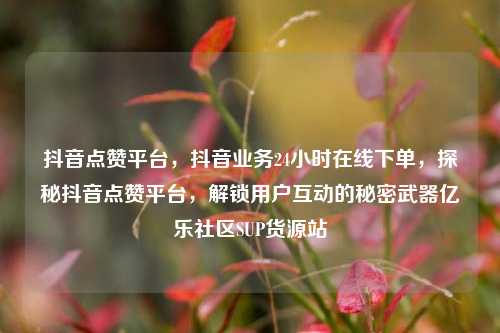 抖音点赞平台	，抖音业务24小时在线下单，探秘抖音点赞平台，解锁用户互动的秘密武器亿乐社区SUP货源站  第1张