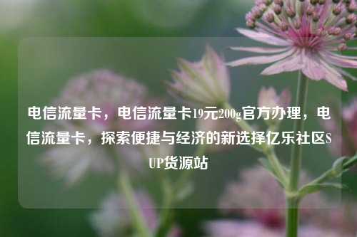 电信流量卡，电信流量卡19元200g官方办理，电信流量卡	，探索便捷与经济的新选择亿乐社区SUP货源站  第1张