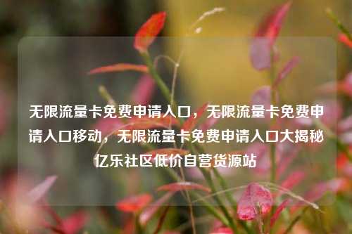 无限流量卡免费申请入口，无限流量卡免费申请入口移动，无限流量卡免费申请入口大揭秘亿乐社区低价自营货源站  第1张