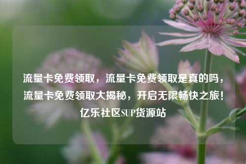 流量卡免费领取，流量卡免费领取是真的吗，流量卡免费领取大揭秘	，开启无限畅快之旅！亿乐社区SUP货源站  第1张