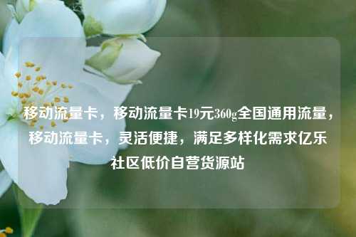 移动流量卡，移动流量卡19元360g全国通用流量，移动流量卡	，灵活便捷，满足多样化需求亿乐社区低价自营货源站  第1张