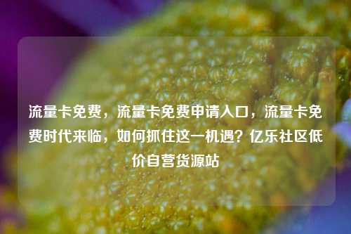 流量卡免费，流量卡免费申请入口，流量卡免费时代来临	，如何抓住这一机遇？亿乐社区低价自营货源站  第1张