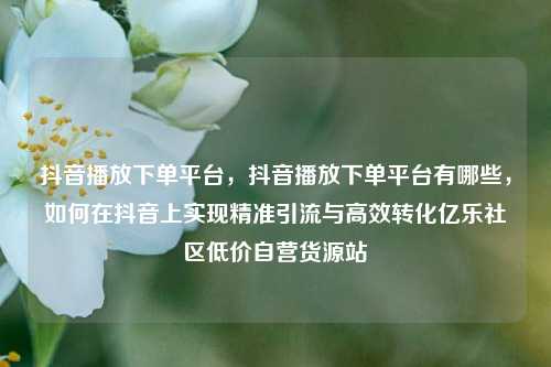 抖音播放下单平台	，抖音播放下单平台有哪些，如何在抖音上实现精准引流与高效转化亿乐社区低价自营货源站  第1张