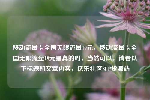移动流量卡全国无限流量19元，移动流量卡全国无限流量19元是真的吗	，当然可以，请看以下标题和文章内容，亿乐社区SUP货源站  第1张