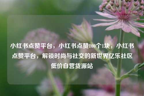 小红书点赞平台	，小红书点赞100个1块，小红书点赞平台，解锁时尚与社交的新世界亿乐社区低价自营货源站  第1张