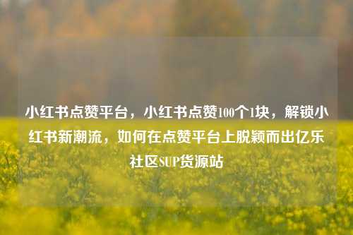 小红书点赞平台	，小红书点赞100个1块，解锁小红书新潮流，如何在点赞平台上脱颖而出亿乐社区SUP货源站  第1张