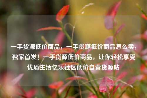 一手货源低价商品，一手货源低价商品怎么卖，独家首发！一手货源低价商品	，让你轻松享受优质生活亿乐社区低价自营货源站  第1张