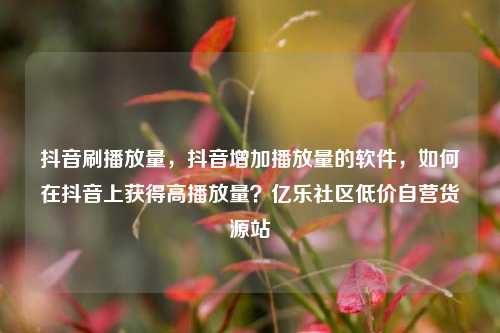 抖音刷播放量	，抖音增加播放量的软件，如何在抖音上获得高播放量？亿乐社区低价自营货源站  第1张