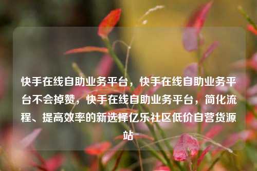 快手在线自助业务平台，快手在线自助业务平台不会掉赞，快手在线自助业务平台	，简化流程	、提高效率的新选择亿乐社区低价自营货源站  第1张