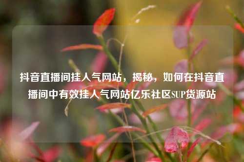 抖音直播间挂人气网站，揭秘，如何在抖音直播间中有效挂人气网站亿乐社区SUP货源站  第1张