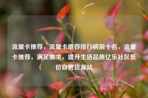 流量卡推荐，流量卡推荐排行榜前十名，流量卡推荐，满足需求	，提升生活品质亿乐社区低价自营货源站  第1张