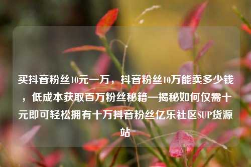 买抖音粉丝10元一万，抖音粉丝10万能卖多少钱，低成本获取百万粉丝秘籍—揭秘如何仅需十元即可轻松拥有十万抖音粉丝亿乐社区SUP货源站  第1张