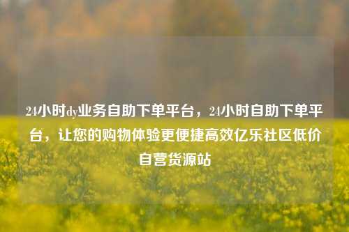 24小时dy业务自助下单平台，24小时自助下单平台，让您的购物体验更便捷高效亿乐社区低价自营货源站  第1张