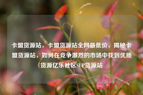 卡盟货源站，卡盟货源站全网最低价	，揭秘卡盟货源站，如何在竞争激烈的市场中找到优质货源亿乐社区SUP货源站  第1张