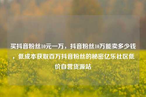 买抖音粉丝10元一万，抖音粉丝10万能卖多少钱，低成本获取百万抖音粉丝的秘密亿乐社区低价自营货源站  第1张