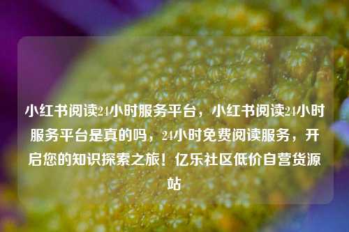 小红书阅读24小时服务平台，小红书阅读24小时服务平台是真的吗	，24小时免费阅读服务，开启您的知识探索之旅！亿乐社区低价自营货源站  第1张