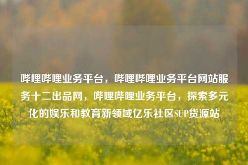 哔哩哔哩业务平台，哔哩哔哩业务平台网站服务十二出品网，哔哩哔哩业务平台	，探索多元化的娱乐和教育新领域亿乐社区SUP货源站  第1张