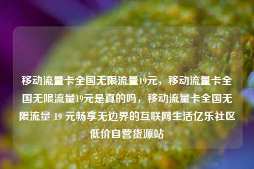 移动流量卡全国无限流量19元	，移动流量卡全国无限流量19元是真的吗，移动流量卡全国无限流量 19 元畅享无边界的互联网生活亿乐社区低价自营货源站  第1张