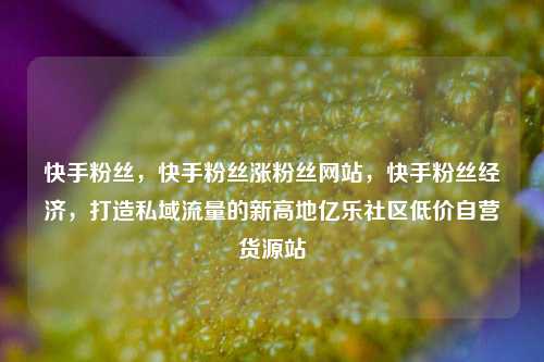 快手粉丝，快手粉丝涨粉丝网站	，快手粉丝经济，打造私域流量的新高地亿乐社区低价自营货源站  第1张