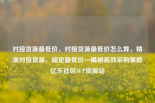 对接货源最低价，对接货源最低价怎么算	，精准对接货源，锁定最低价—揭秘高效采购策略亿乐社区SUP货源站  第1张