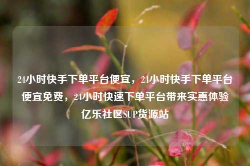 24小时快手下单平台便宜	，24小时快手下单平台便宜免费，24小时快速下单平台带来实惠体验亿乐社区SUP货源站  第1张