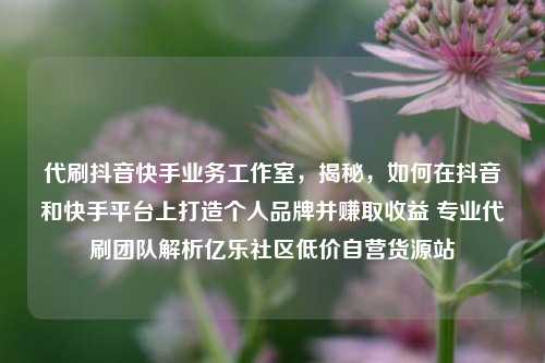 代刷抖音快手业务工作室，揭秘，如何在抖音和快手平台上打造个人品牌并赚取收益 专业代刷团队解析亿乐社区低价自营货源站  第1张