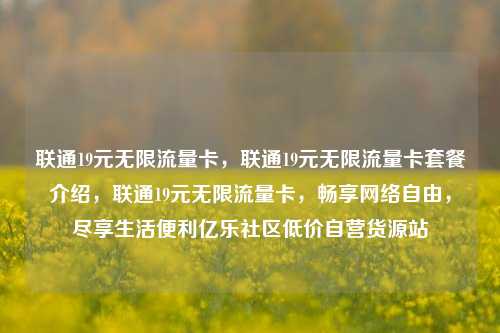 联通19元无限流量卡，联通19元无限流量卡套餐介绍	，联通19元无限流量卡，畅享网络自由，尽享生活便利亿乐社区低价自营货源站  第1张