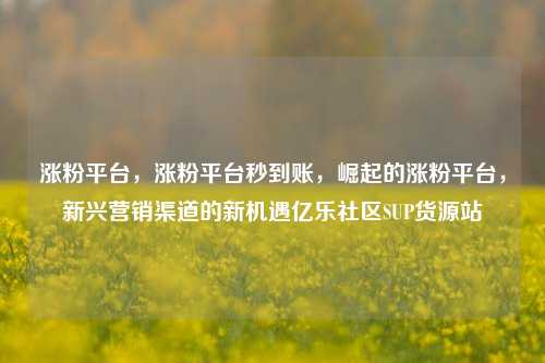 涨粉平台	，涨粉平台秒到账，崛起的涨粉平台，新兴营销渠道的新机遇亿乐社区SUP货源站  第1张