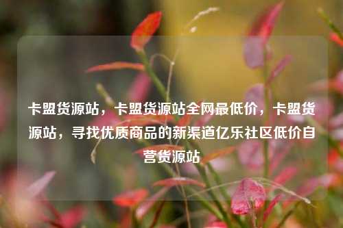 卡盟货源站，卡盟货源站全网最低价，卡盟货源站	，寻找优质商品的新渠道亿乐社区低价自营货源站  第1张