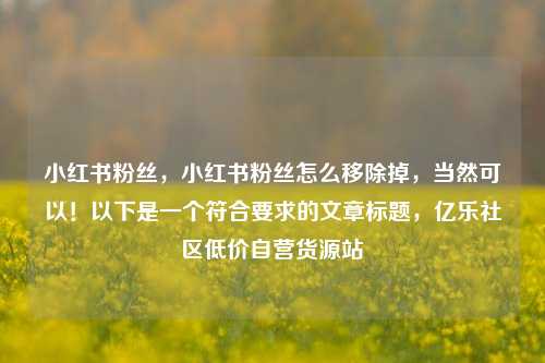 小红书粉丝，小红书粉丝怎么移除掉，当然可以！以下是一个符合要求的文章标题	，亿乐社区低价自营货源站  第1张