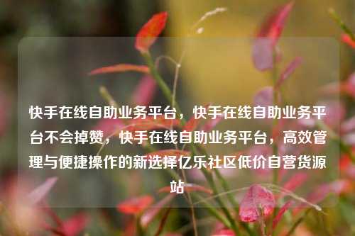快手在线自助业务平台，快手在线自助业务平台不会掉赞	，快手在线自助业务平台，高效管理与便捷操作的新选择亿乐社区低价自营货源站  第1张