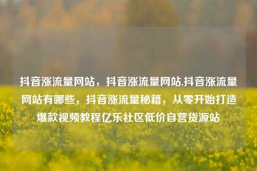 抖音涨流量网站，抖音涨流量网站,抖音涨流量网站有哪些	，抖音涨流量秘籍，从零开始打造爆款视频教程亿乐社区低价自营货源站  第1张