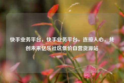 快手业务平台，快手业务平台，连接人心	，共创未来亿乐社区低价自营货源站  第1张