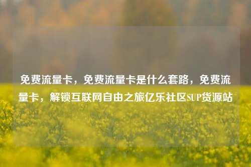 免费流量卡，免费流量卡是什么套路	，免费流量卡，解锁互联网自由之旅亿乐社区SUP货源站  第1张