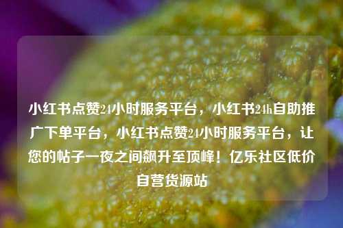 小红书点赞24小时服务平台，小红书24h自助推广下单平台	，小红书点赞24小时服务平台，让您的帖子一夜之间飙升至顶峰！亿乐社区低价自营货源站  第1张