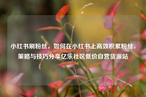 小红书刷粉丝，如何在小红书上高效积累粉丝	，策略与技巧分享亿乐社区低价自营货源站  第1张