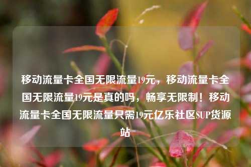 移动流量卡全国无限流量19元，移动流量卡全国无限流量19元是真的吗，畅享无限制！移动流量卡全国无限流量只需19元亿乐社区SUP货源站  第1张