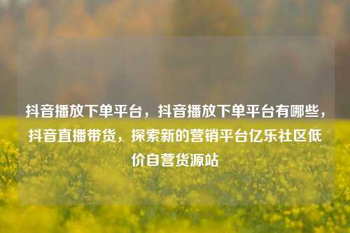 抖音播放下单平台，抖音播放下单平台有哪些	，抖音直播带货，探索新的营销平台亿乐社区低价自营货源站  第1张