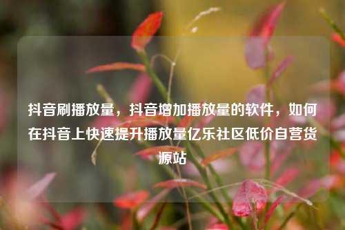 抖音刷播放量	，抖音增加播放量的软件，如何在抖音上快速提升播放量亿乐社区低价自营货源站  第1张