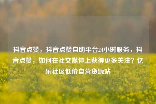 抖音点赞	，抖音点赞自助平台24小时服务，抖音点赞，如何在社交媒体上获得更多关注？亿乐社区低价自营货源站  第1张