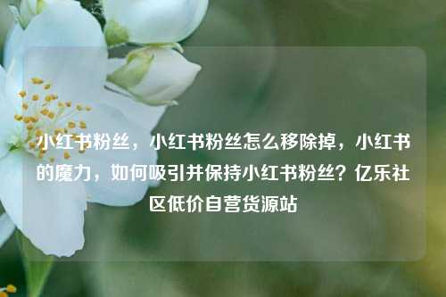 小红书粉丝，小红书粉丝怎么移除掉，小红书的魔力	，如何吸引并保持小红书粉丝？亿乐社区低价自营货源站  第1张
