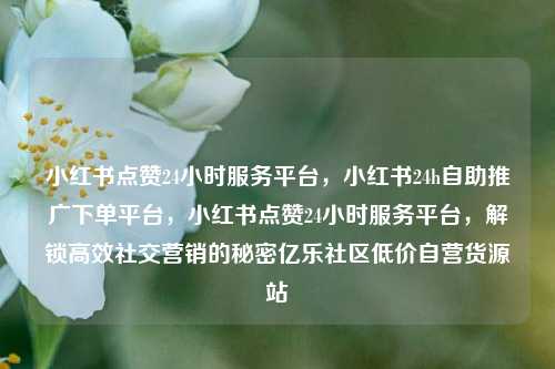 小红书点赞24小时服务平台，小红书24h自助推广下单平台	，小红书点赞24小时服务平台，解锁高效社交营销的秘密亿乐社区低价自营货源站  第1张