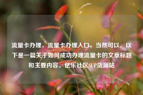 流量卡办理，流量卡办理入口，当然可以。以下是一篇关于如何成功办理流量卡的文章标题和主要内容。亿乐社区SUP货源站  第1张