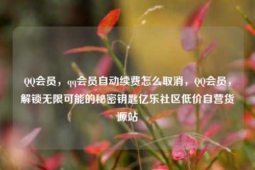 QQ会员	，qq会员自动续费怎么取消，QQ会员，解锁无限可能的秘密钥匙亿乐社区低价自营货源站  第1张