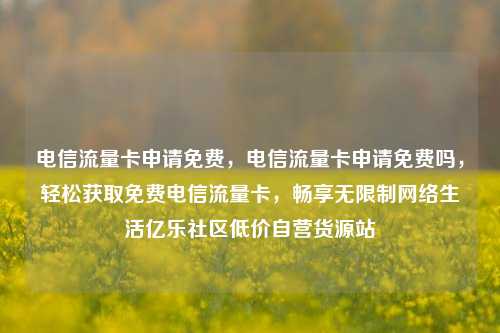 电信流量卡申请免费，电信流量卡申请免费吗，轻松获取免费电信流量卡	，畅享无限制网络生活亿乐社区低价自营货源站  第1张